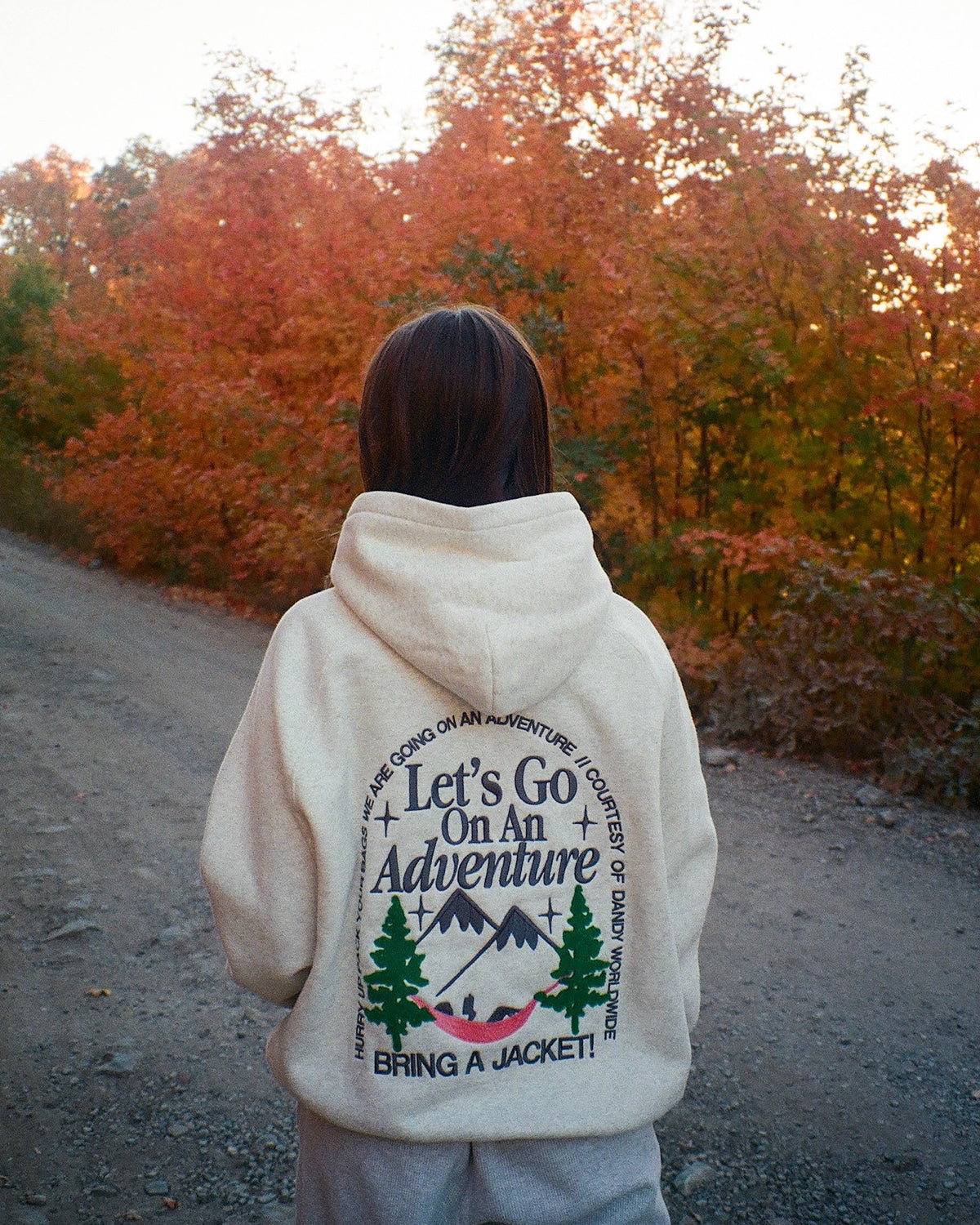 Lets Go On An Adventure Oversized Lux Hoodie in Heather Gray